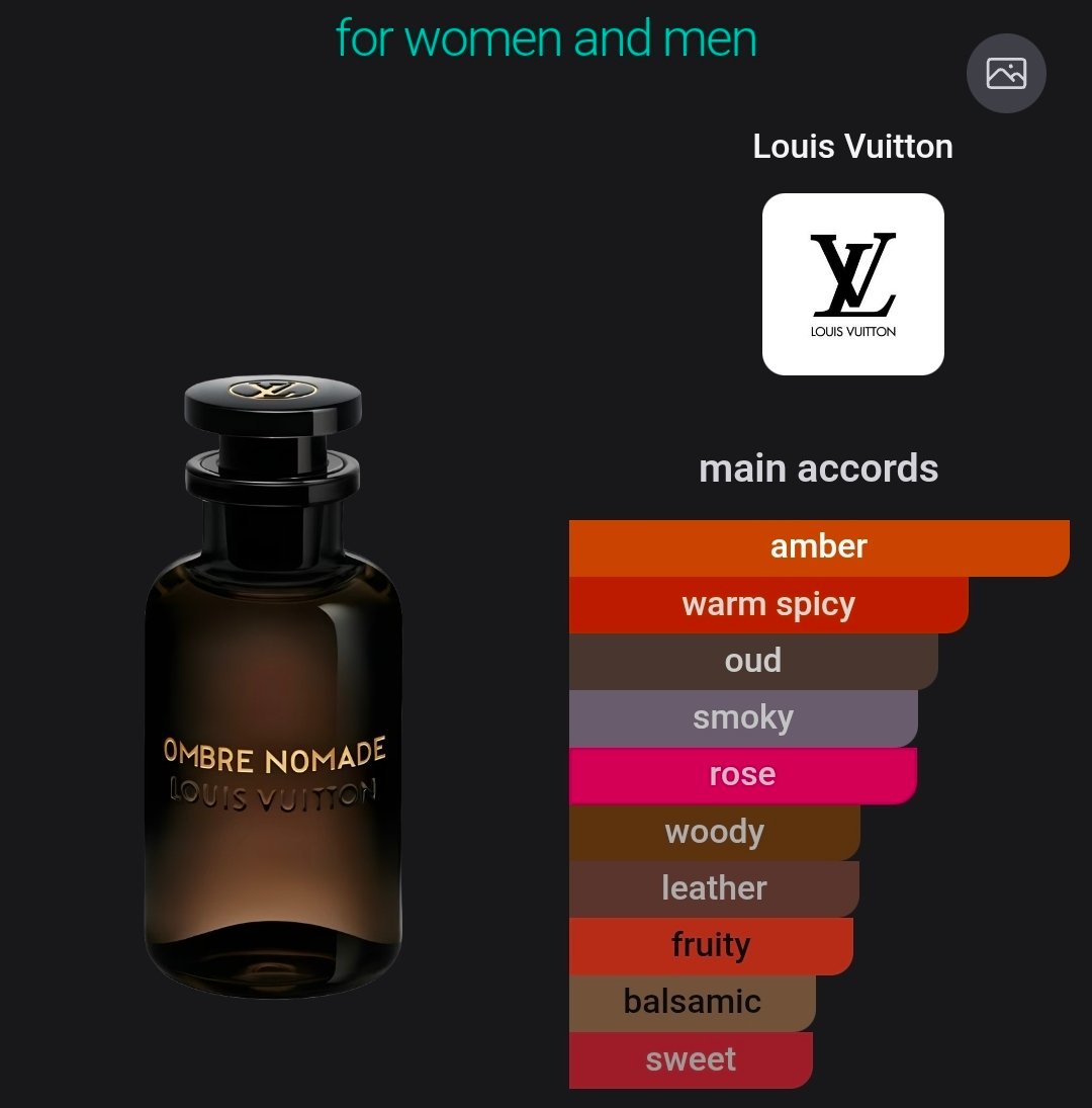 PPW-Louis Vuitton Ombre Nomade - Image 2