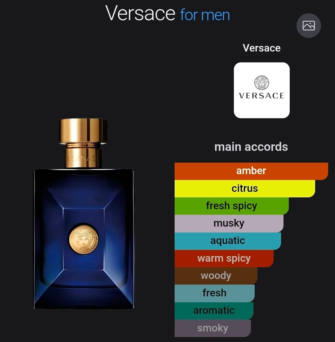 PPW-Versace Dylan Blue Pour Homme - Image 3